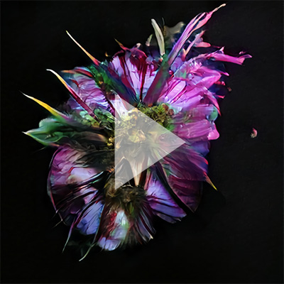permutation from ganbreeder